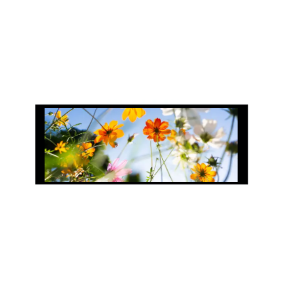 6.86 orlach 480 × 1280 Modúl TFT IPS